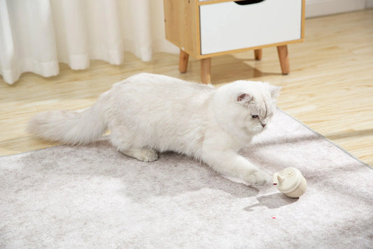 The Truth Unveiled: Are Laser Pointers Bad For Cats? - MayMaw