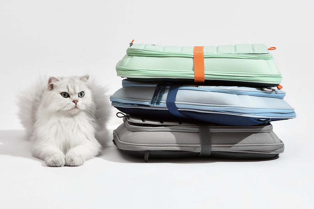 backpack for cat