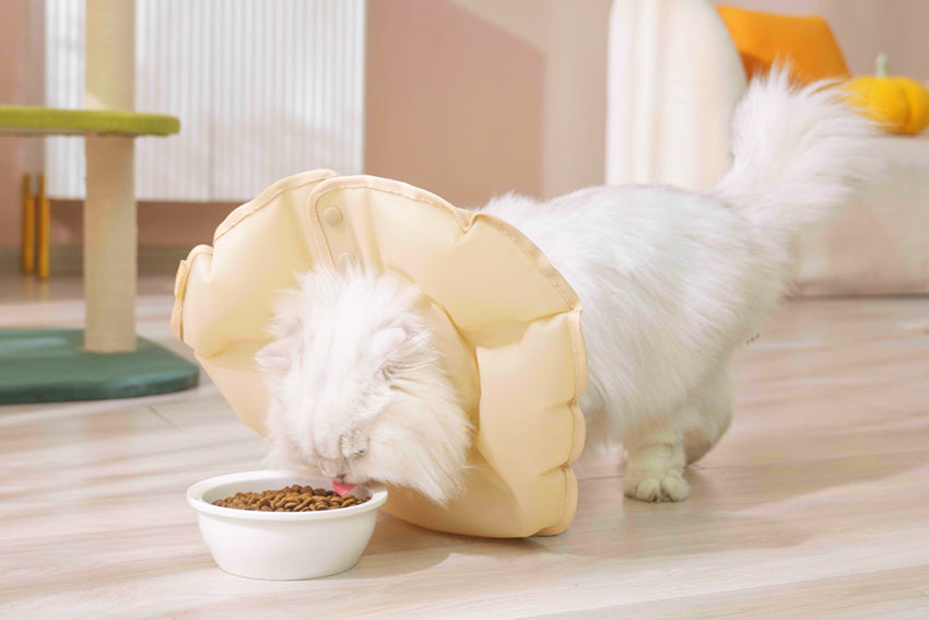 Cat & Dog Inflatable Pet Cone