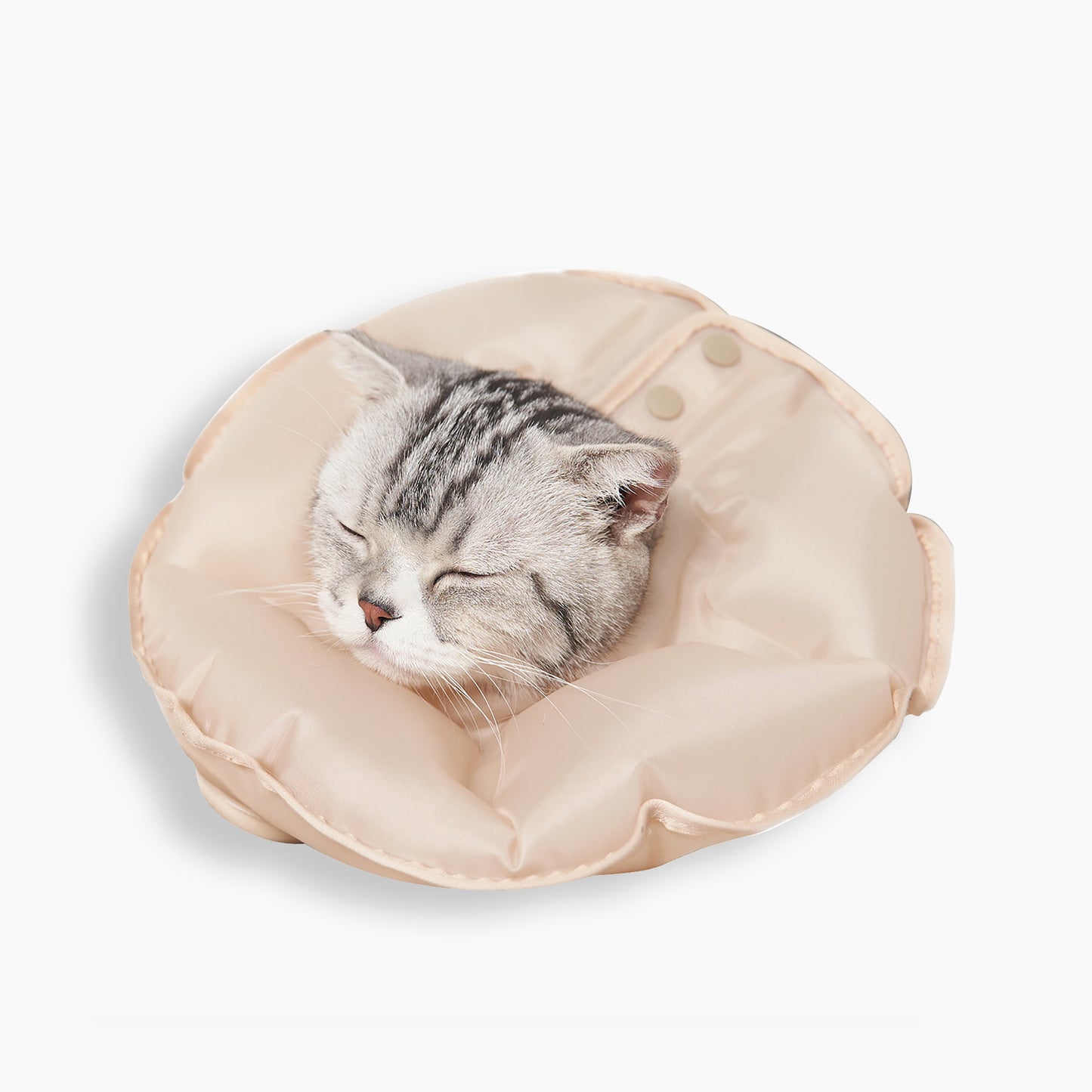 Balloon Inflatable Pet Cone