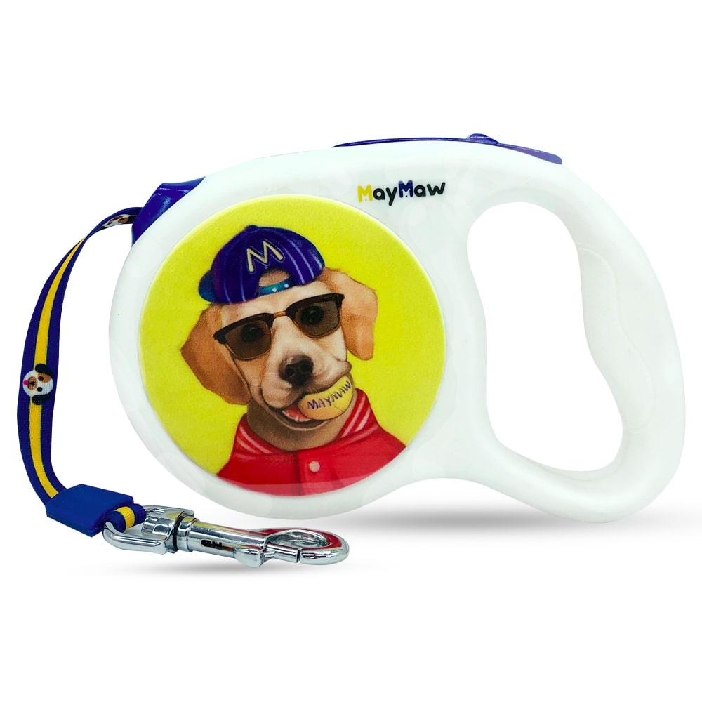retractable dog leash for your cat
