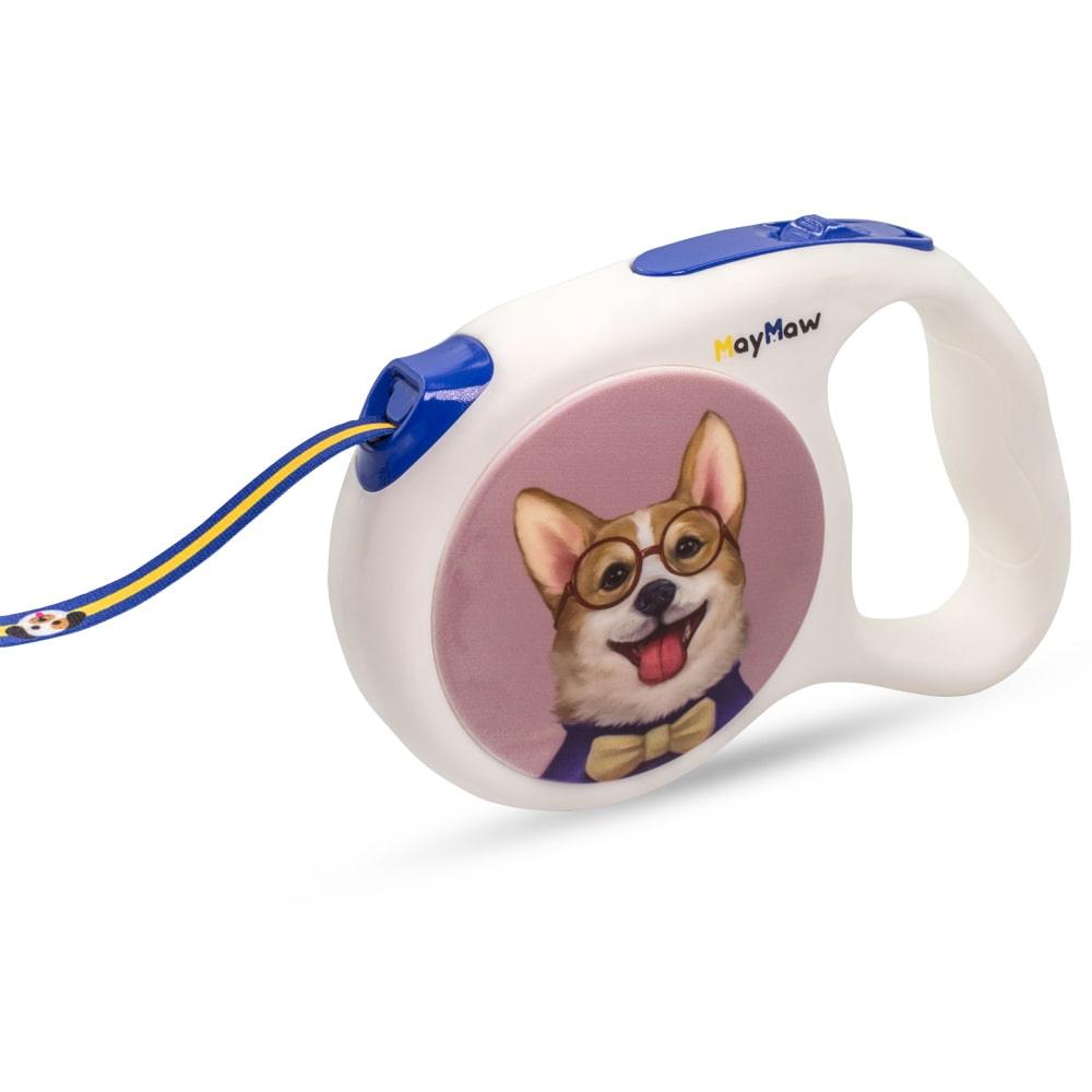 dog with retractable leash