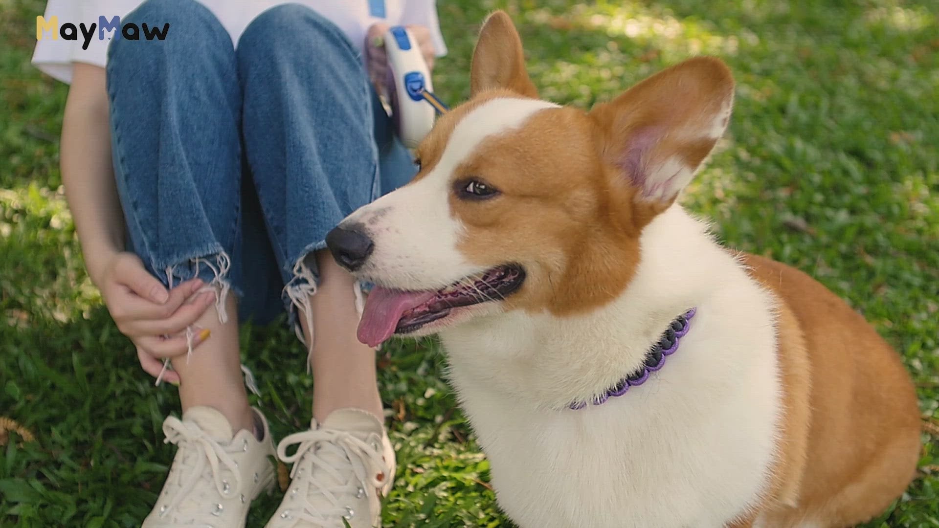 girl hoilding dog from retractable leash