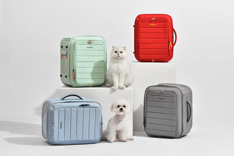 Choosing the Right Size: Decoding the TSA Guidelines for Cat Travel Carriers