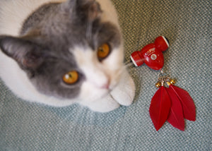 Why Choosing KitiFish Cat Toy For Your Cat Is A Brilliant Idea? - MayMaw