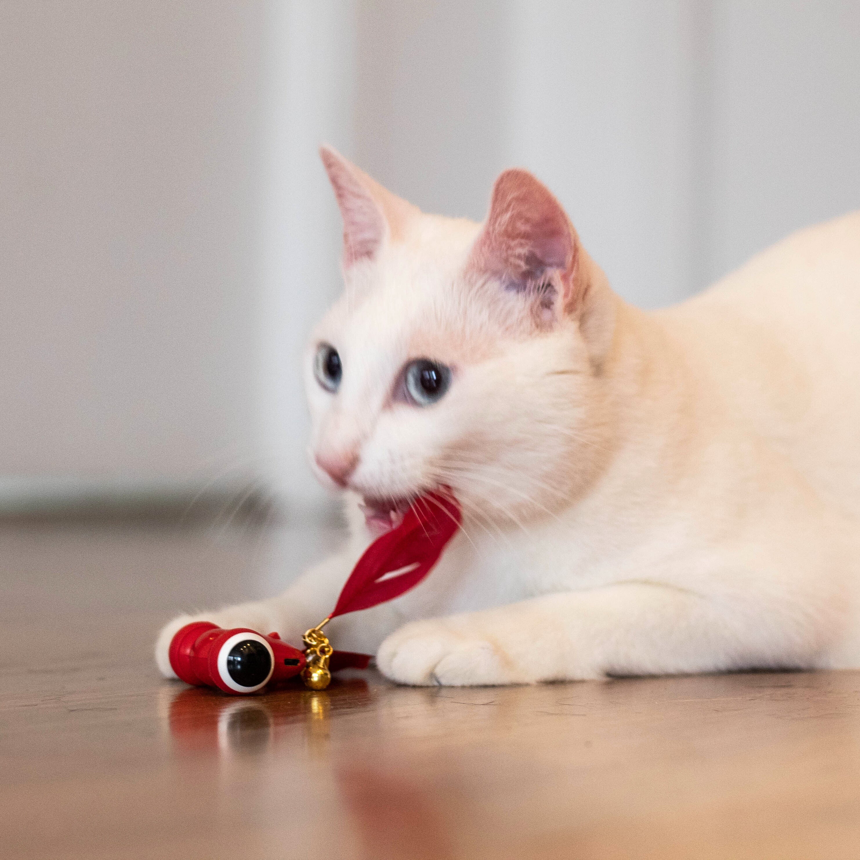 Goldfish cat clearance toy