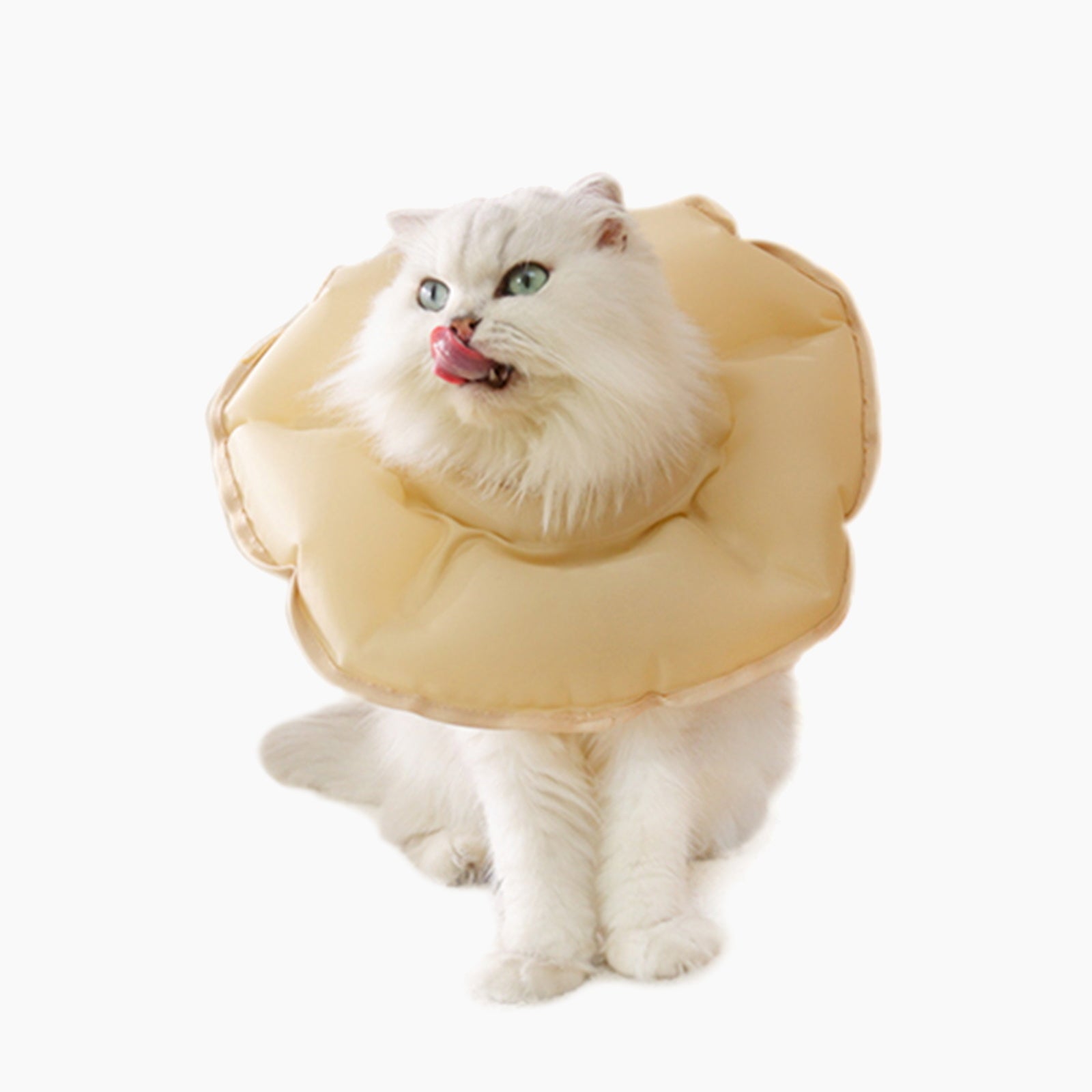 Inflatable shop cat cone