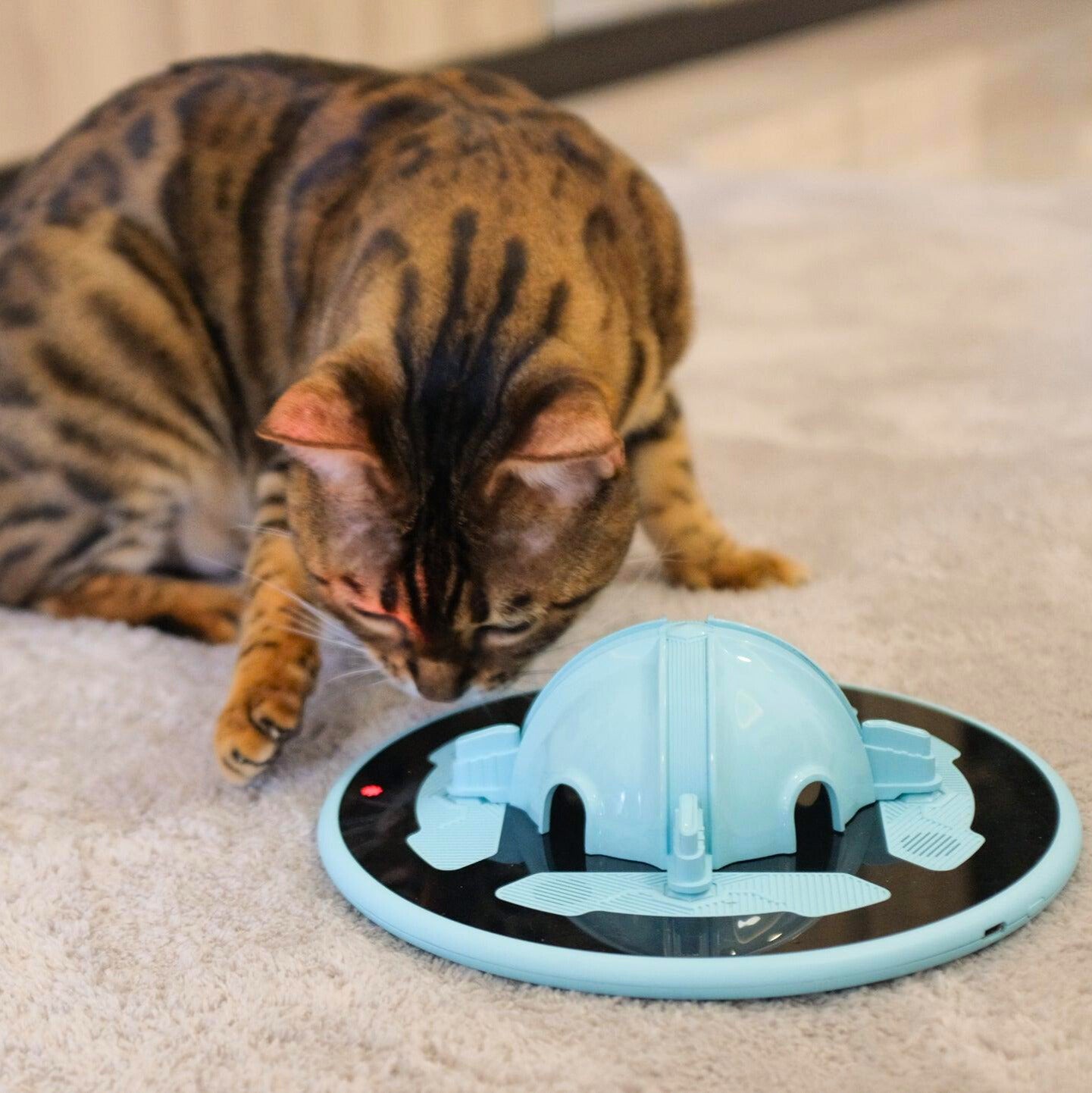 TrickyPaw - Interactive & Automatic Cat Toy