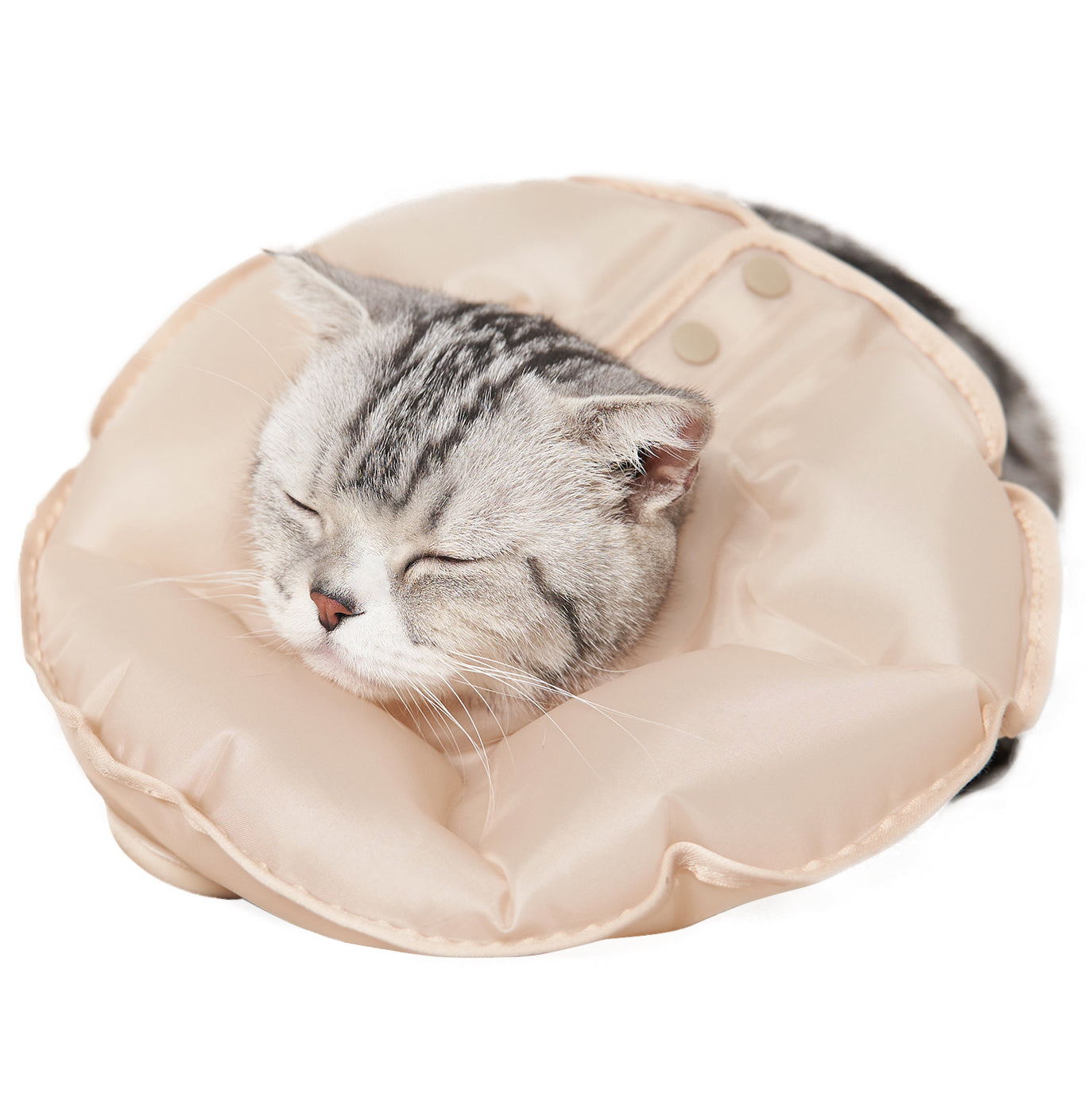 Inflatable Cat Cone
