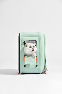 dog backpack with window
