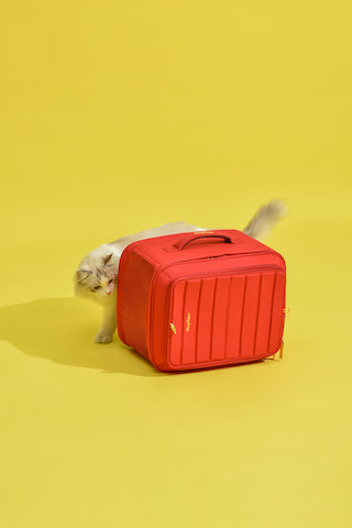 Red backpack for cat