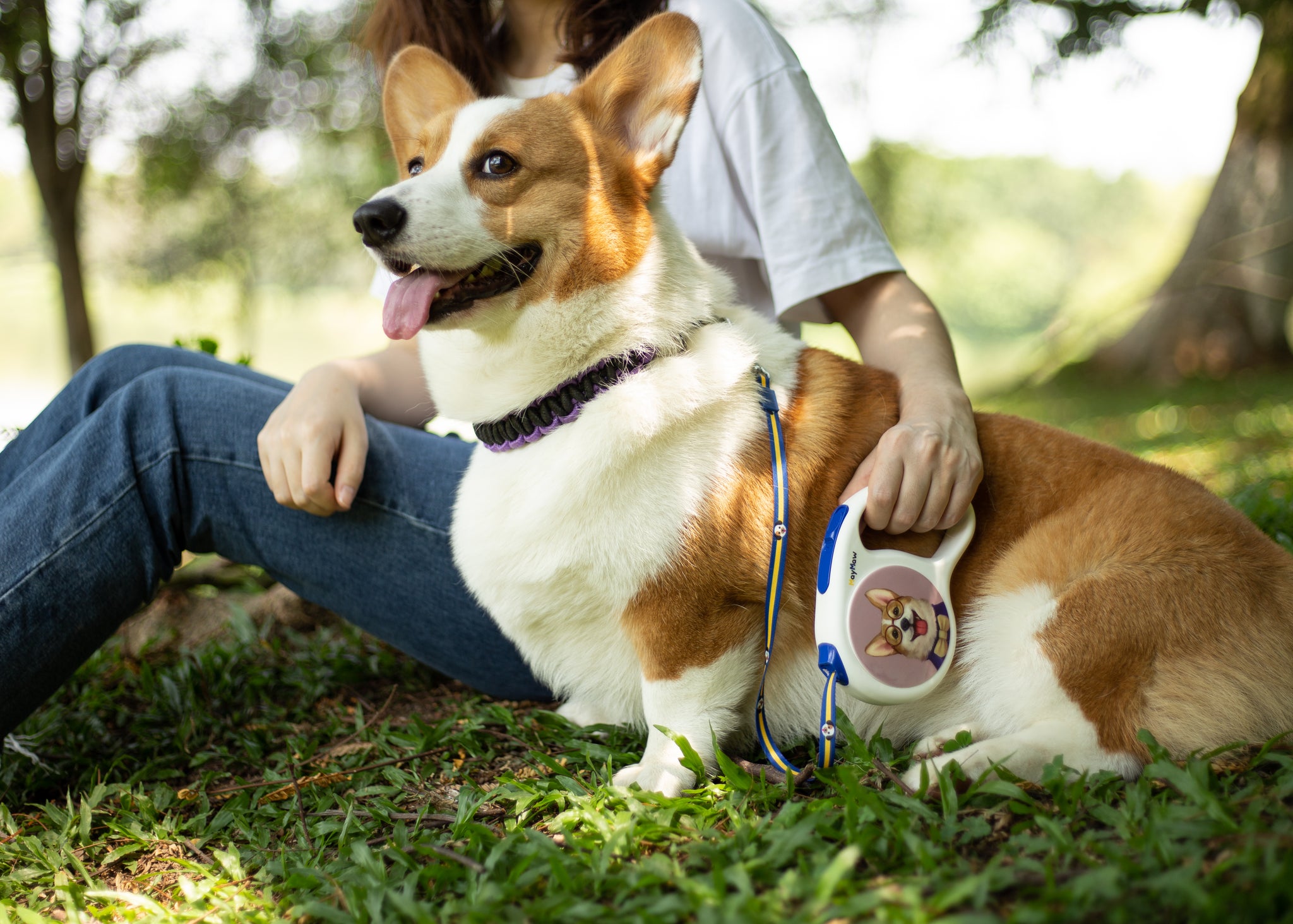 Retractable & DIY & Replaceable Dog Leash