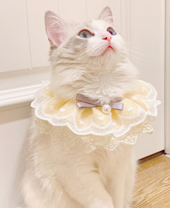 Cat cone dress