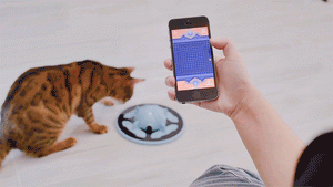 TrickyPaw - Interactive 