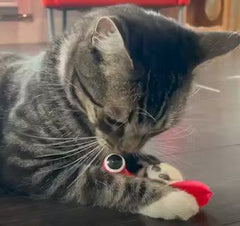 Kitifish Cat Toy for baby cat